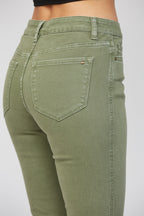 CHIVE OLIVE REG 5