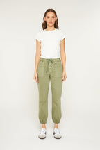 OLIVE REG 2