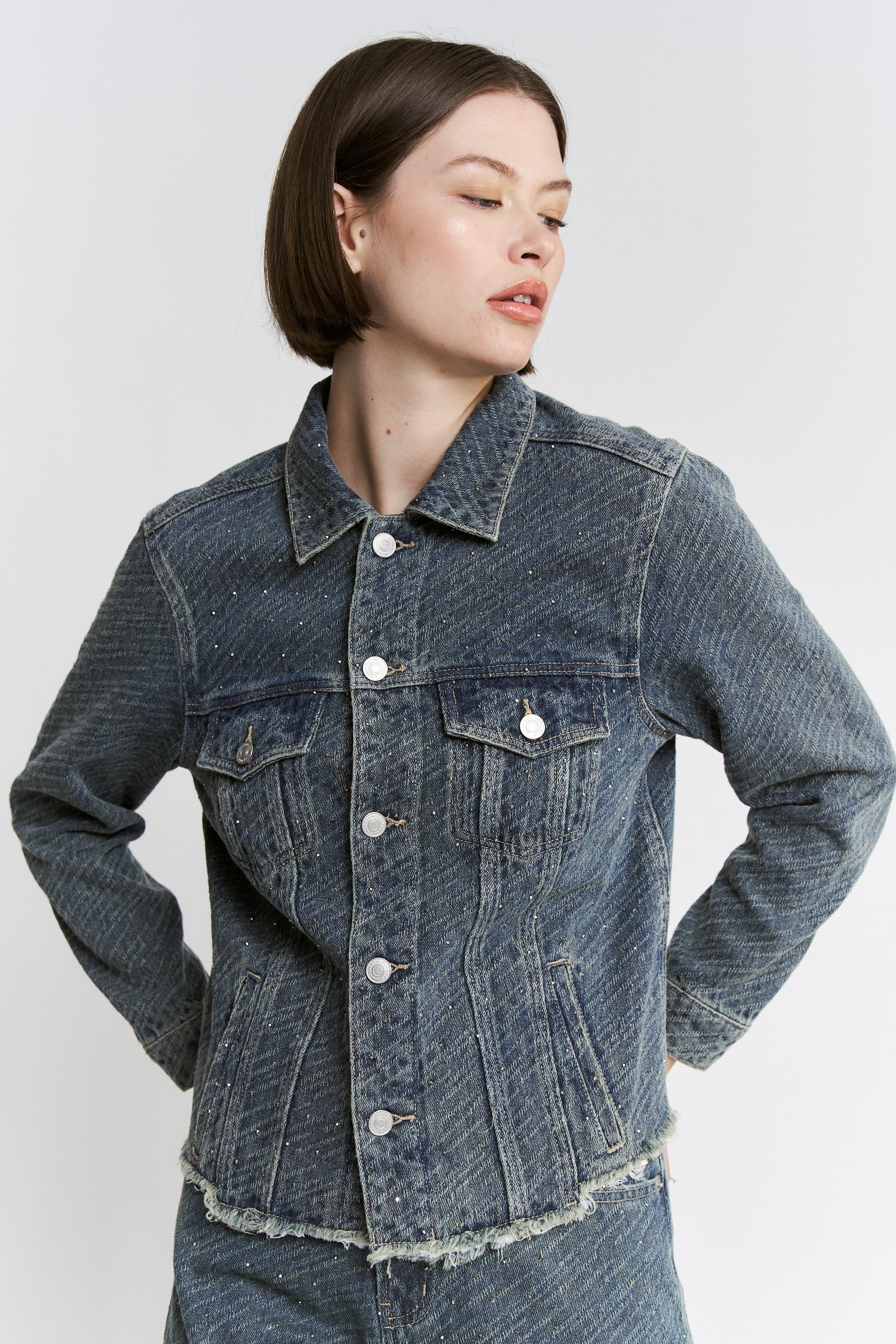 Mica Denim Embellishments Vintage Jacket Secondary image