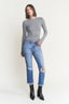 BLUISH CYAN REG 1
