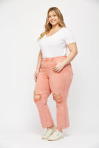 ASH PINK PLUS 3