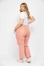 ASH PINK PLUS 4