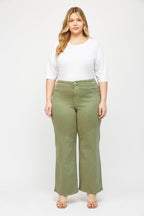 OLIVE PLUS 2