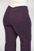 PLUM PLUS 6
