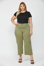 OLIVE PLUS 1